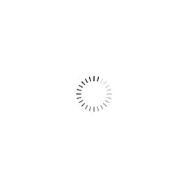 a3b7f89d-ca65-4a3a-a42c-2ce9a9c05607